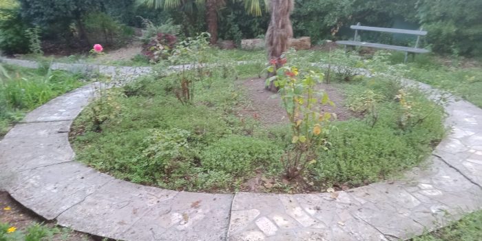 img 20250919 080806 911