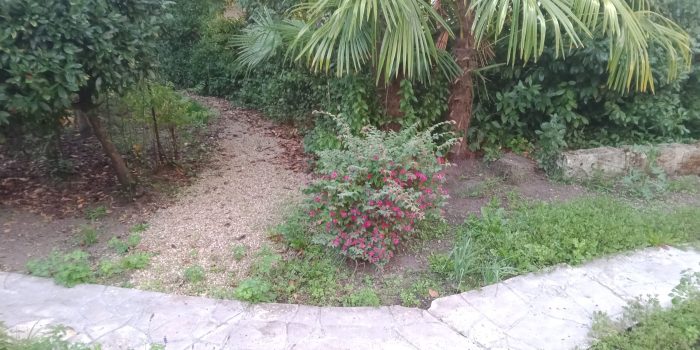 img 20250919 080825 999